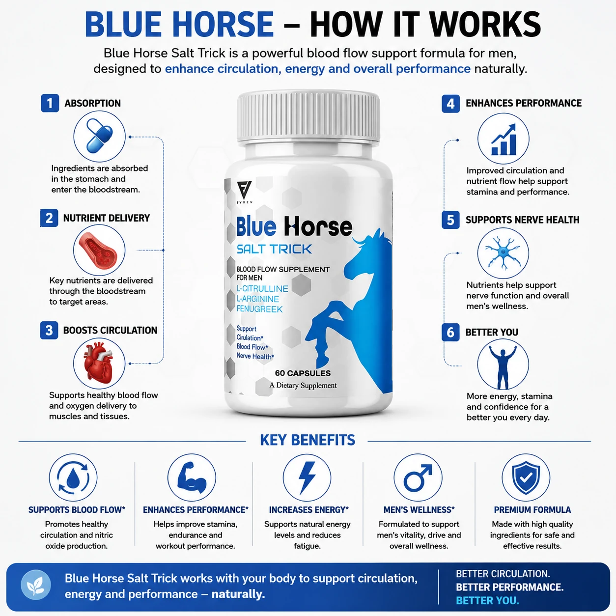 How Blue Horse works — absorption, nutrient delivery, boosts circulation, enhances performance, supports nerve health and a better you
